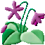 �摜